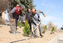 گزارش تصویری از آئیین درختکاری و تقدیر ازهمکاران فضای سبز دانشگاه